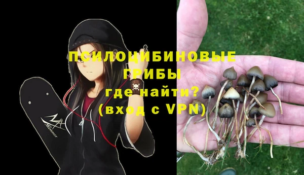 мескалин Алексеевка