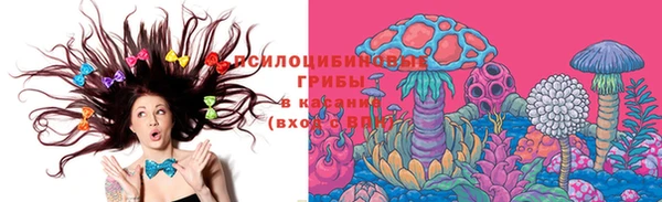 гашик Лагань