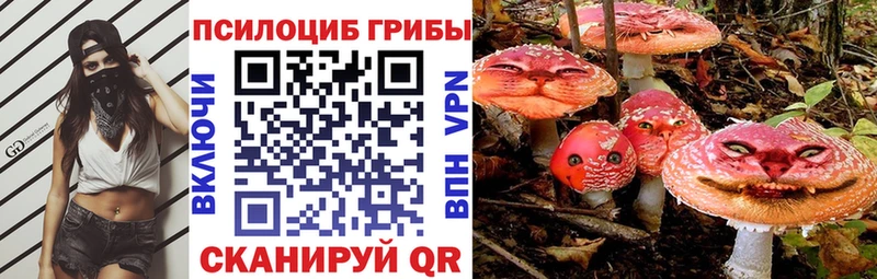 Псилоцибиновые грибы мухоморы  ОМГ ОМГ зеркало  Цоци-Юрт 